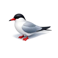 Tern 3D icon