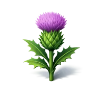 Thistle 3D icon