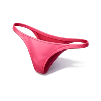 Thong Underwear 3D icon