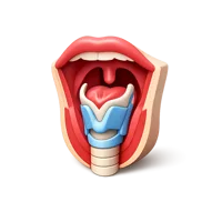 Throat 3D icon