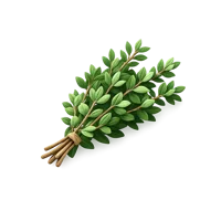 Thyme 3D icon