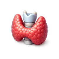 Thyroid 3D icon