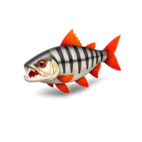 Tigerfish 3D icon