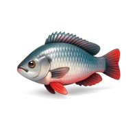 Red Tilapia 3D icon