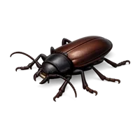 Titan Beetle 3D icon