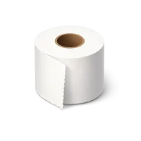 Toilet Paper Roll 3D icon