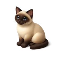 Tonkinese Cat 3D icon