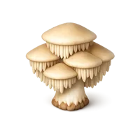 Tooth Fungus 3D icon