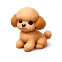 Orange Toy Poodle 3D icon