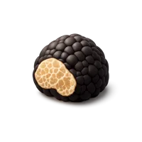 Truffle 3D icon