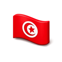 Tunisia Flag 3D icon