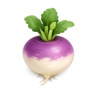 Turnip 3D icon