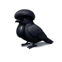 Umbrellabird 3D icon