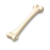 Upper Arm Bone 3D icon
