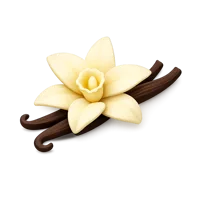 Brown Vanilla 3D icon