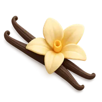 Vanilla 3D icon