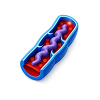 Varicose Vein 3D icon