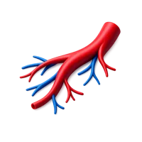 Vein 3D icon