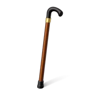 Brown Walking Stick 3D icon