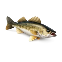 Walleye Fish 3D icon