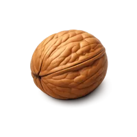 Orange Walnut 3D icon