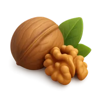 Walnut 3D icon