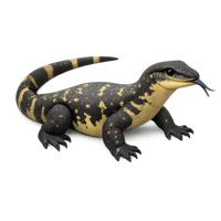 Water Monitor 3D icon