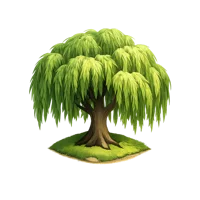 Weeping Willow 3D icon
