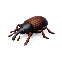 Red Weevil 3D icon