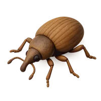 Weevil 3D icon