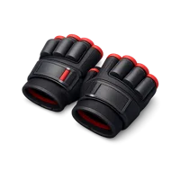 Weighted Gloves 3D icon