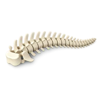 Whale Spine 3D icon