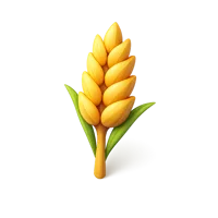 Wheat 3D icon