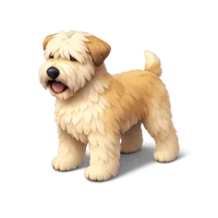 Wheaten Terrier 3D icon