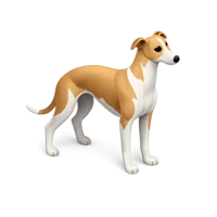 Whippet 3D icon