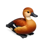 Whistling Duck 3D icon