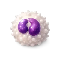 White Blood Cell 3D icon
