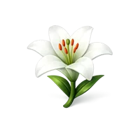 White Lily 3D icon