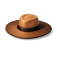 Wide Brim Hat 3D icon