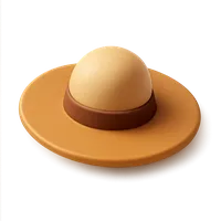 Wide-Brim Hat 3D icon