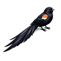 Widowbird 3D icon