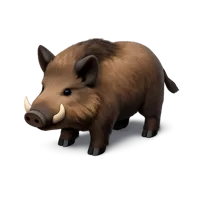 Wild Boar 3D icon