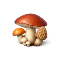 Orange Wild Mushroom 3D icon