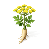 Wild Parsnip 3D icon