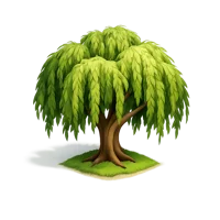 Green Willow Tree 3D icon