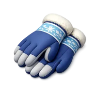Winter Gloves 3D icon