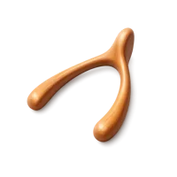 Wishbone 3D icon