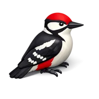 Red Woodpecker 3D icon