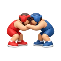 Wrestling Match 3D icon