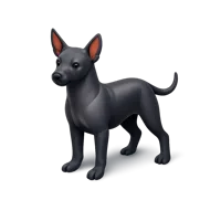 Xoloitzcuintli 3D icon